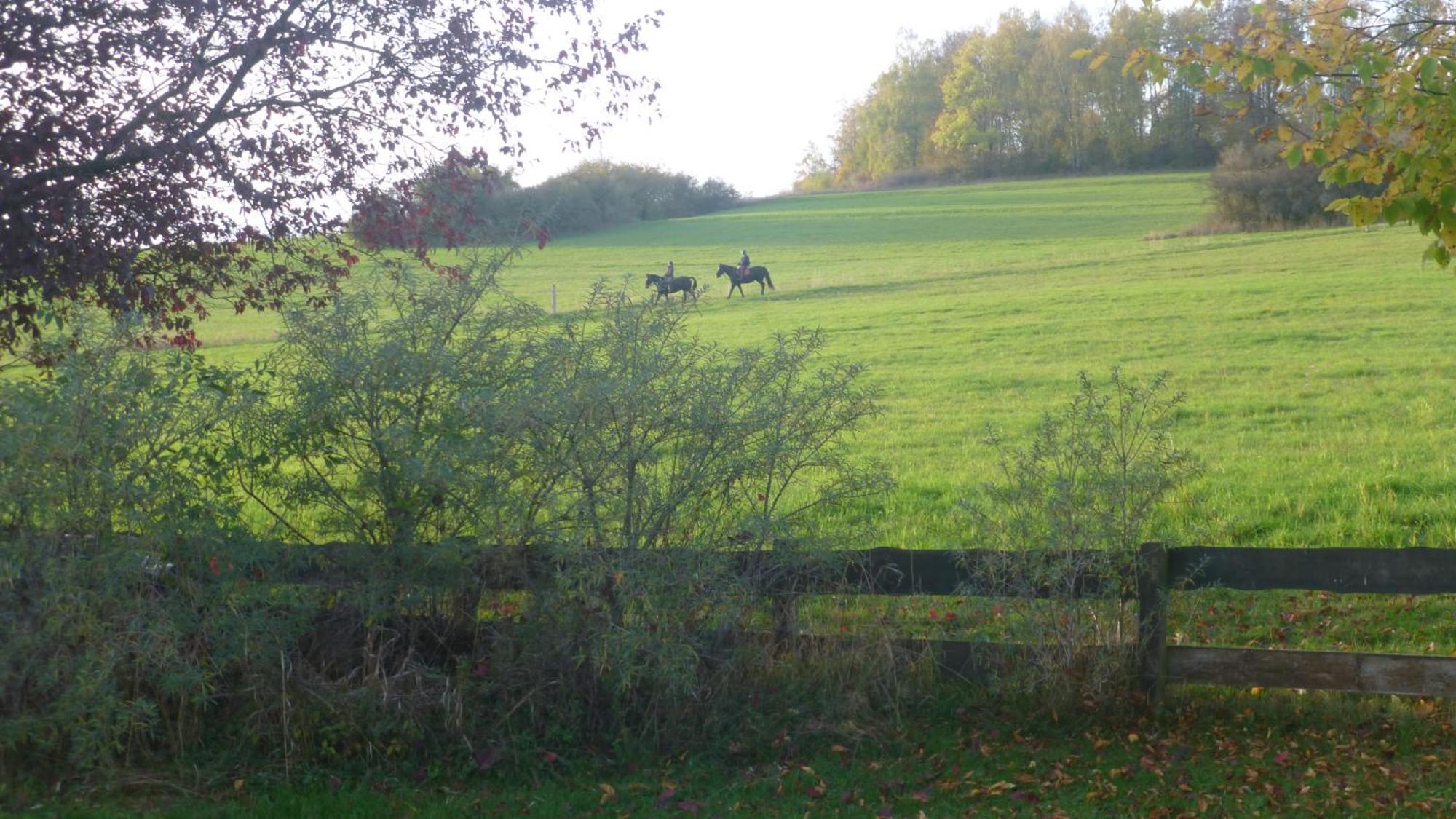 Natur Pur Mit Fernblick Fuer Wanderfreunde Bad Sachsa Exterior foto